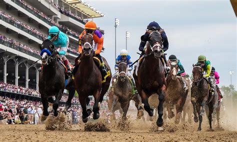 bet the derby|2025 Kentucky Derby Expert Picks .